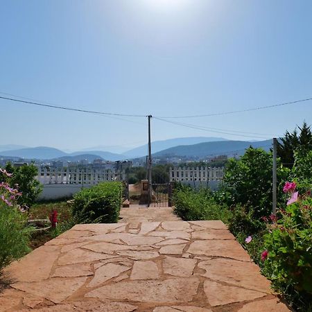 Vila Osmanaj كساميل المظهر الخارجي الصورة