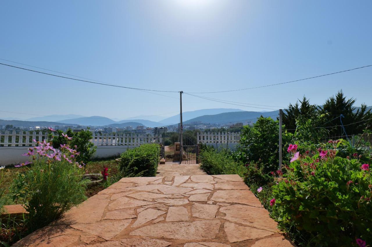 Vila Osmanaj كساميل المظهر الخارجي الصورة